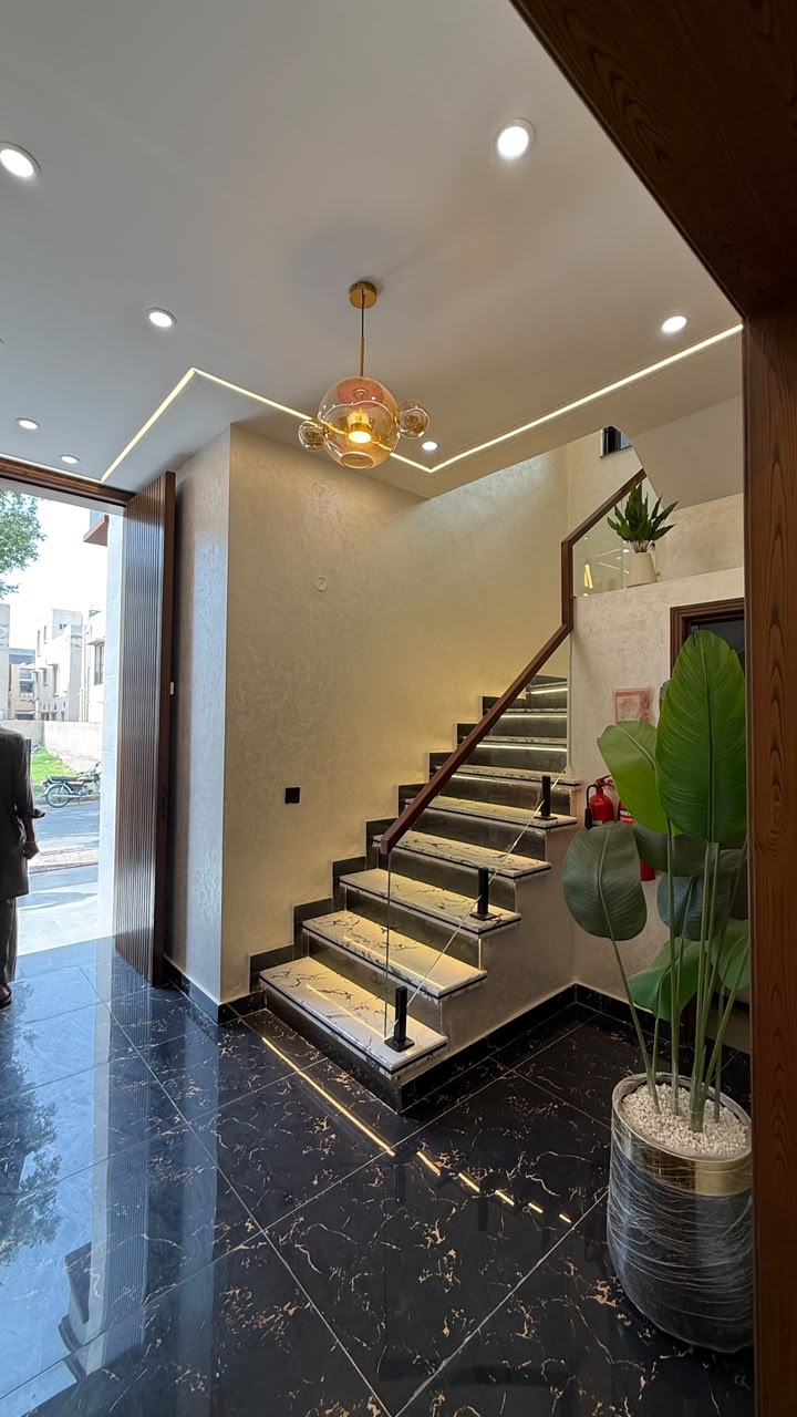 video image