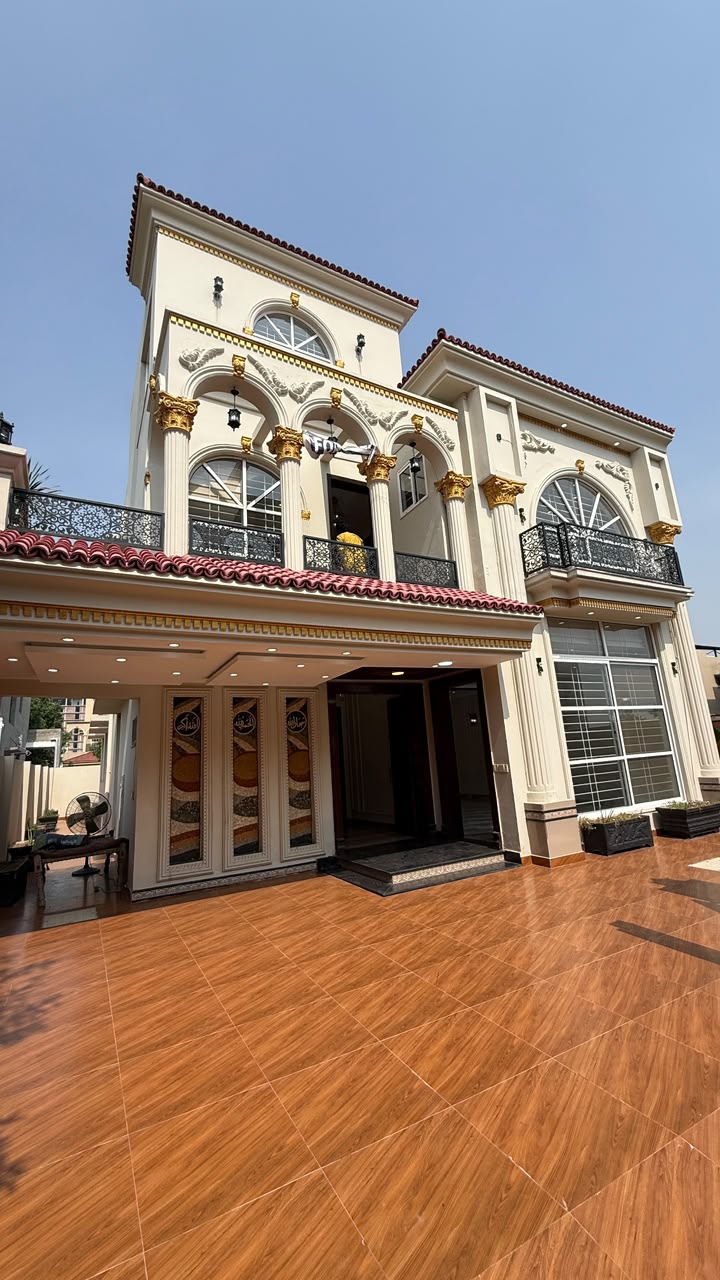 video image